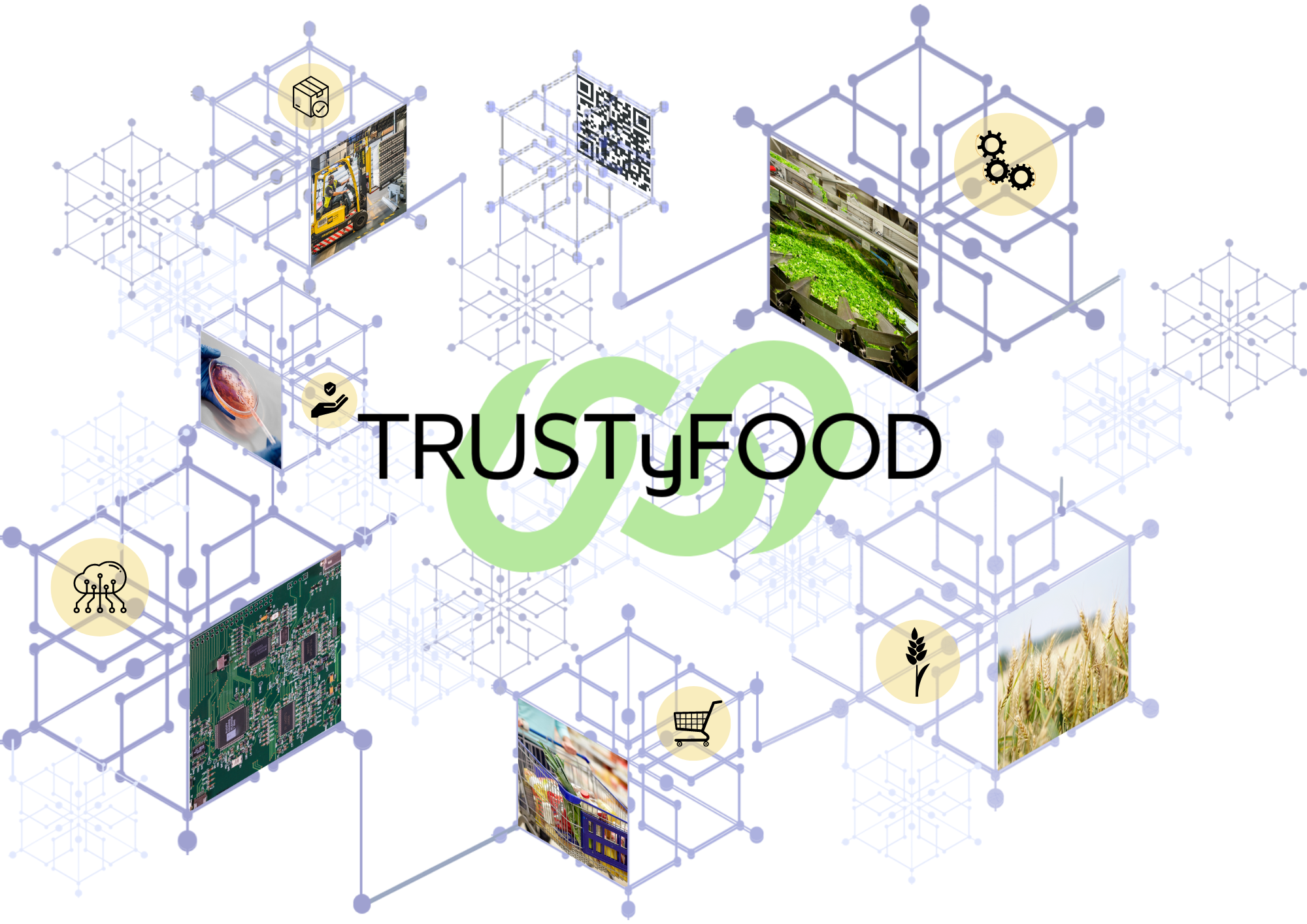 Stakeholders-driven pathways for blockchain implementation in the agri-food sector – TRUSTYFOOD