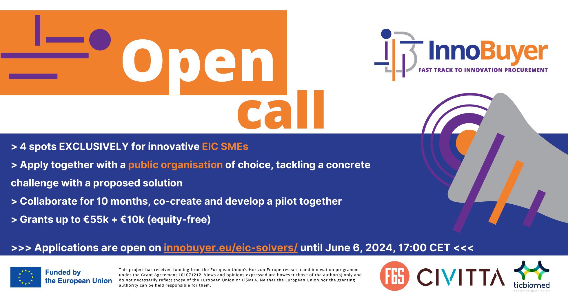 The Open Call for EIC Solvers